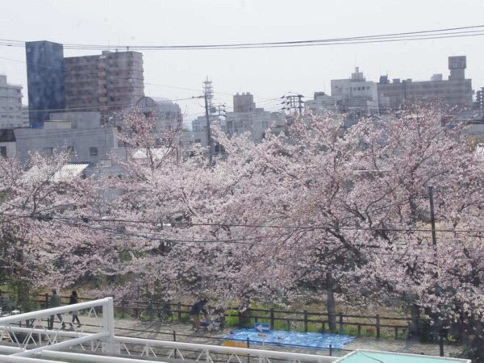 Tottori City Hotel / Vacation Stay 81355 Zewnętrze zdjęcie